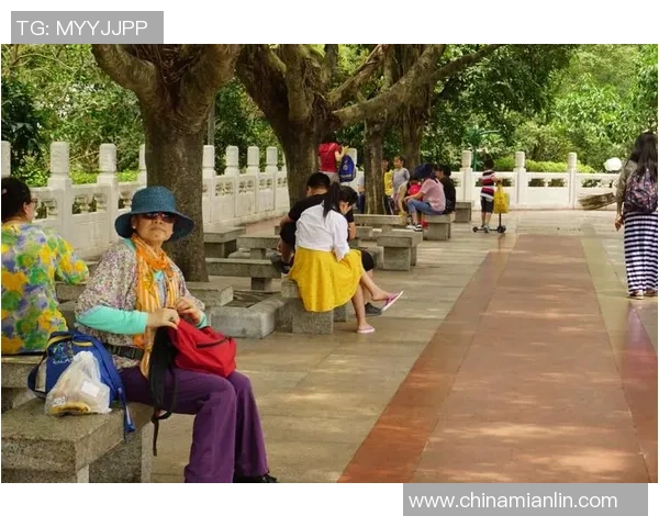 深圳排球队奋斗历程的真实记录与感人故事分享