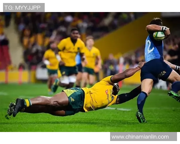 世界杯预选赛特别报道：武汉网球队的转型之路