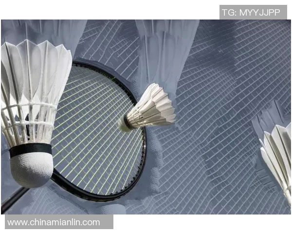 羽毛球装备选购：训练器材推荐_1